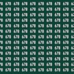 Can You Spot The Number 978 In This Viral Optical Illusion In Just 7 Seconds
