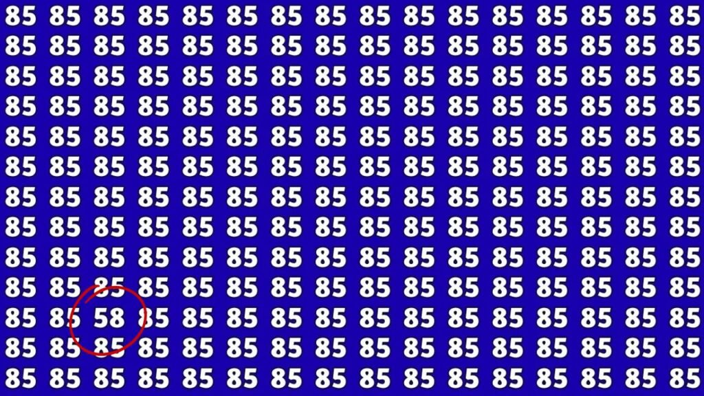 Spot The Hidden 58 Among 85s In Just 7 Seconds – Can You Do It