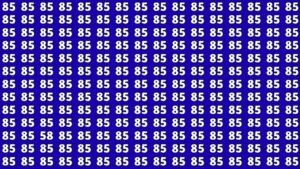 Spot The Hidden 58 Among 85s In Just 7 Seconds – Can You Do It