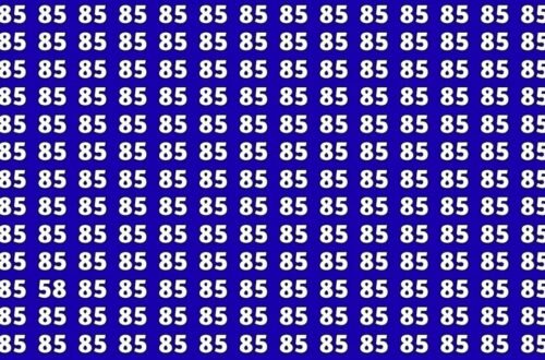 Spot The Hidden 58 Among 85s In Just 7 Seconds – Can You Do It