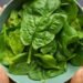 HelloFresh Meals Recalled! Spinach May Carry Listeria — Check Yours Now