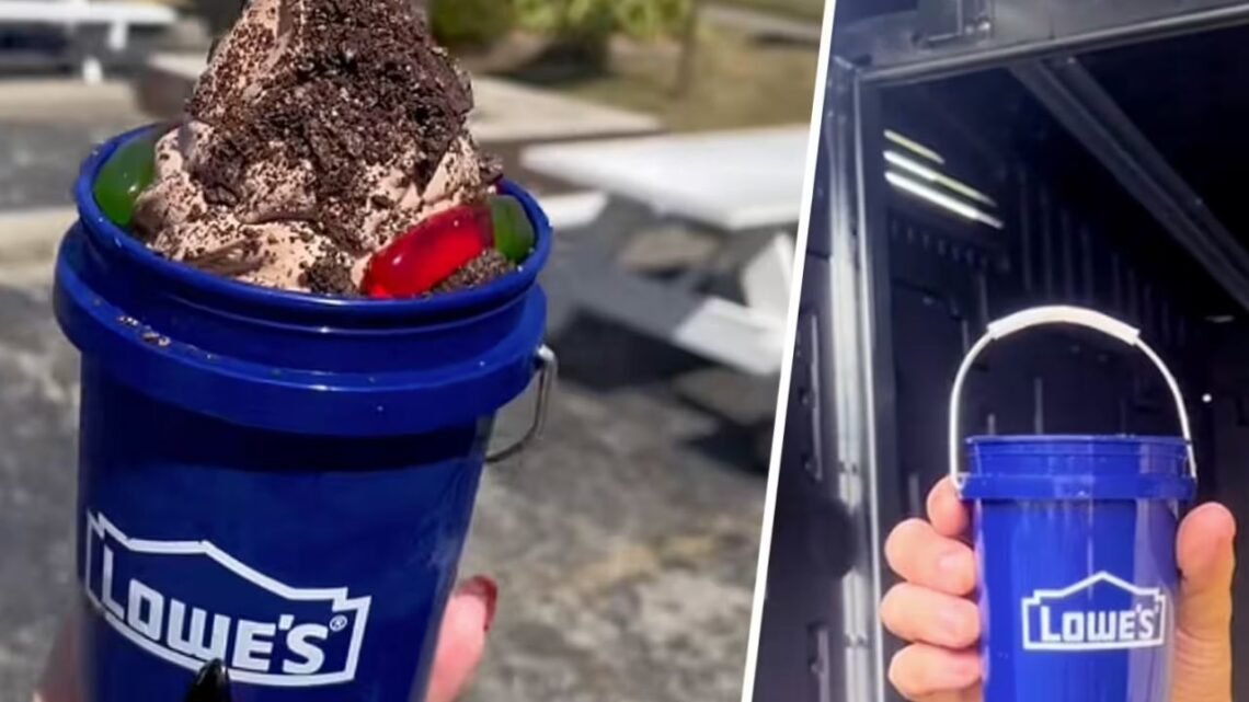 The Internet’s Hottest Food & Drink Container- Lowe’s Viral Mini Bucket