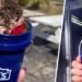 The Internet’s Hottest Food & Drink Container- Lowe’s Viral Mini Bucket